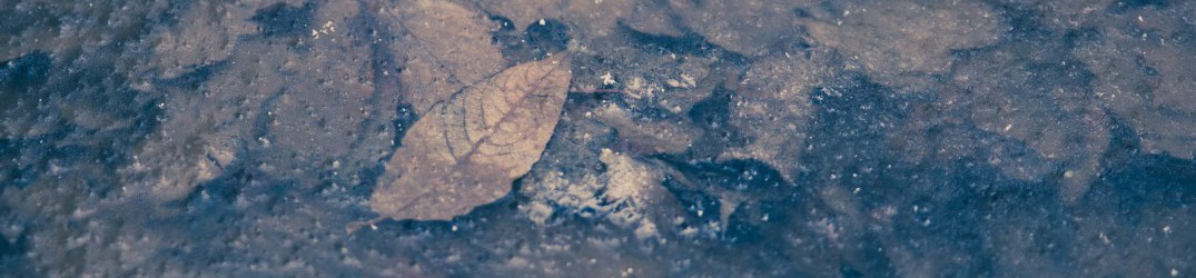Kres: ascolta in full-streaming "40 nocy grudnia"