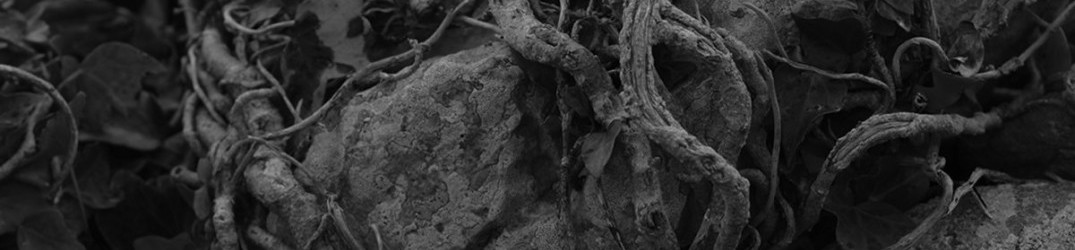 Seelenfrost: "Des Mondes Staub" in streaming completo