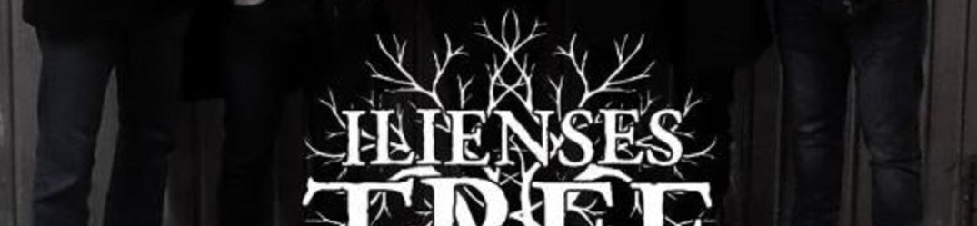 Ilienses Tree: firmano per Maculata Anima Rec.