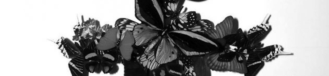 Monarch!: online il singolo 'Of Night, With Knives'