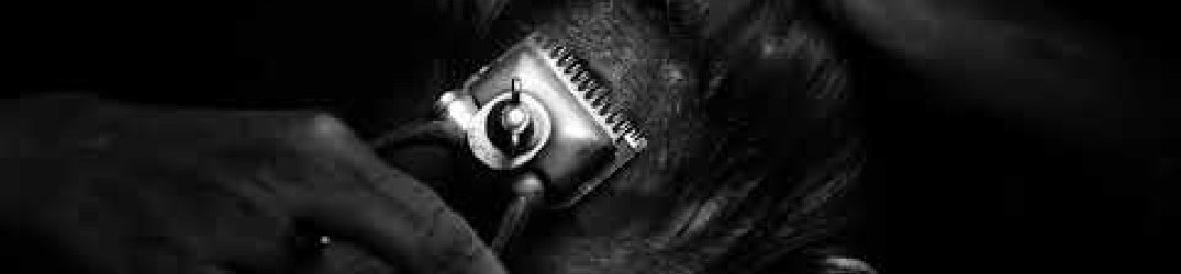 Throane: online il nuovo brano 'Plus Une Main a Mordre'