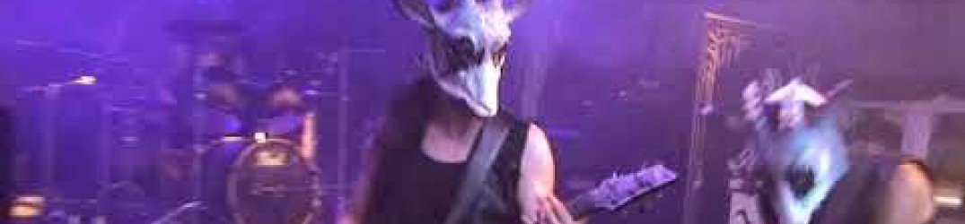 Milking The Goatmachine: guarda il video live di 'Goat Thrower'