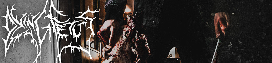 Live Report: Dying Fetus+Psycroptic+Beyond Creation+Disentomb @Circolo Colony, Brescia 29/10/2017
