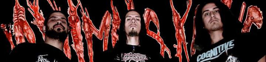 Animals Killing People: guarda il video live dall'Obscene Extreme 2017