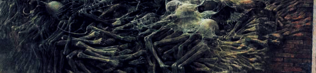 Intervista Darkend (Animæ)