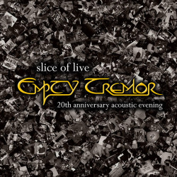 Slice Of Live - 20th anniversary acoustic evening