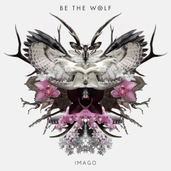 Imago