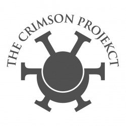 Live Report: The Crimson ProjeKCt a Roma