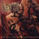 Copertina di Diminishing Between Worlds dei Decrepit Birth
