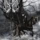 Unblessed Woods