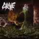 Into The Grave