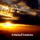 Entwined Emotions