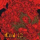Lord 13