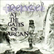 Copertina di At The Gates of Arcan dei Repsel