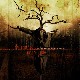 Fragments Of Lust & Decay