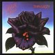 Black Rose