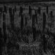 Fields of Devastation