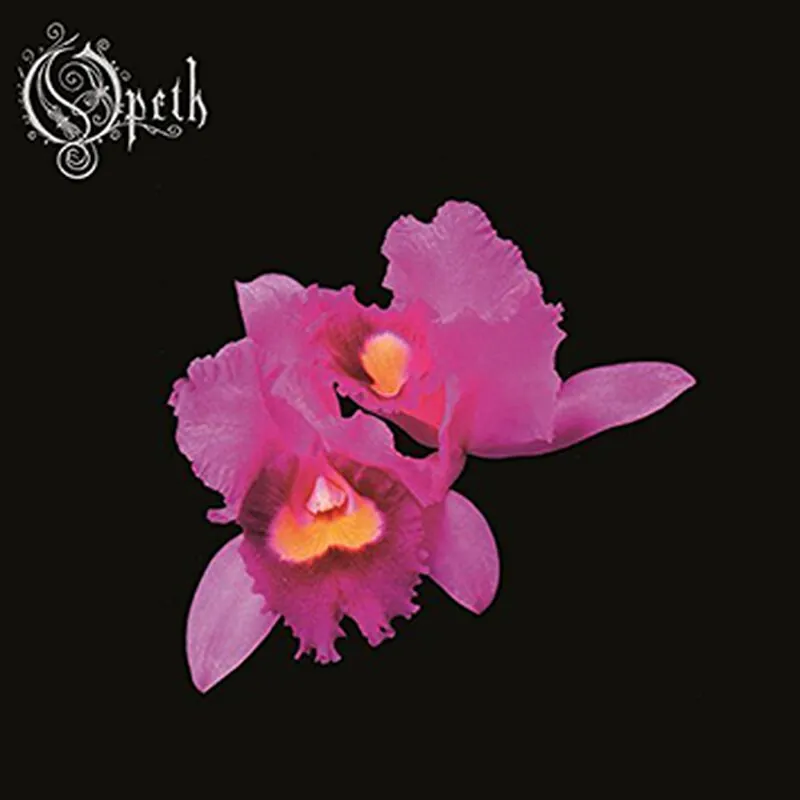 Orchid