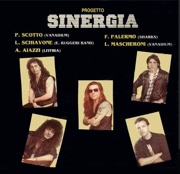 Progetto Sinergia