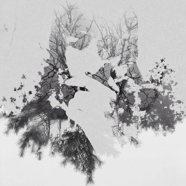 Tassi (水树) : annunciata versione occidentale del debutto del side-project di Dryad (Bliss-Illusion/虚极)