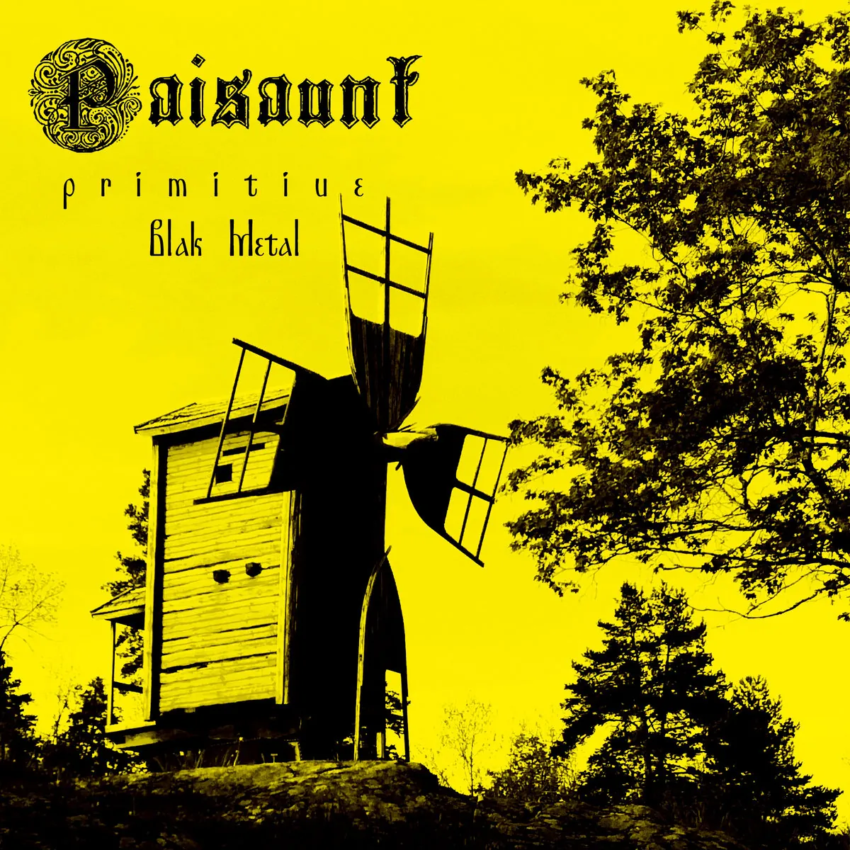 Paisaunt: presto un nuovo album tramite Naturmacht Productions