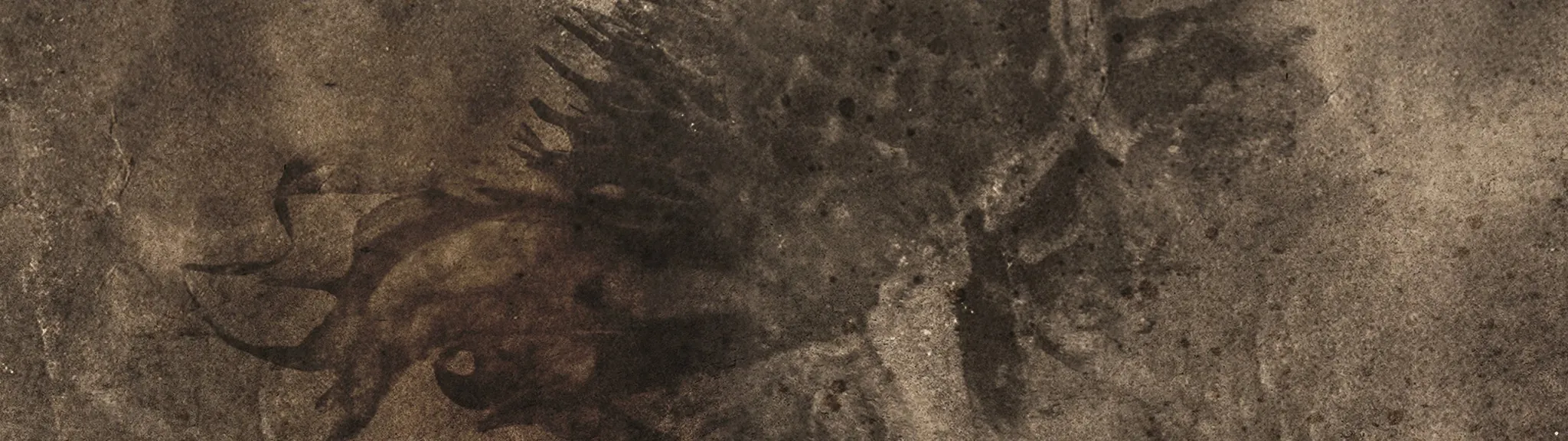 Seeming Emptiness: nuovo album in arrivo tramite Naturmacht Productions, brano in anteprima