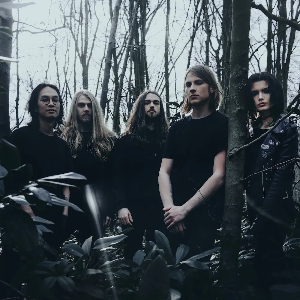 Darkness Surrounding: guarda il video di 'Nocturnal Forest Air'