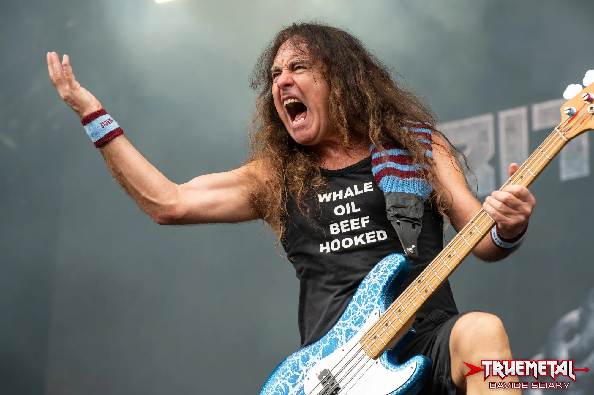 Iron Maiden: Steve Harris, "Abbiamo avuto successo alle nostre condizioni, i discografici sono banditi dal nostro studio!"
