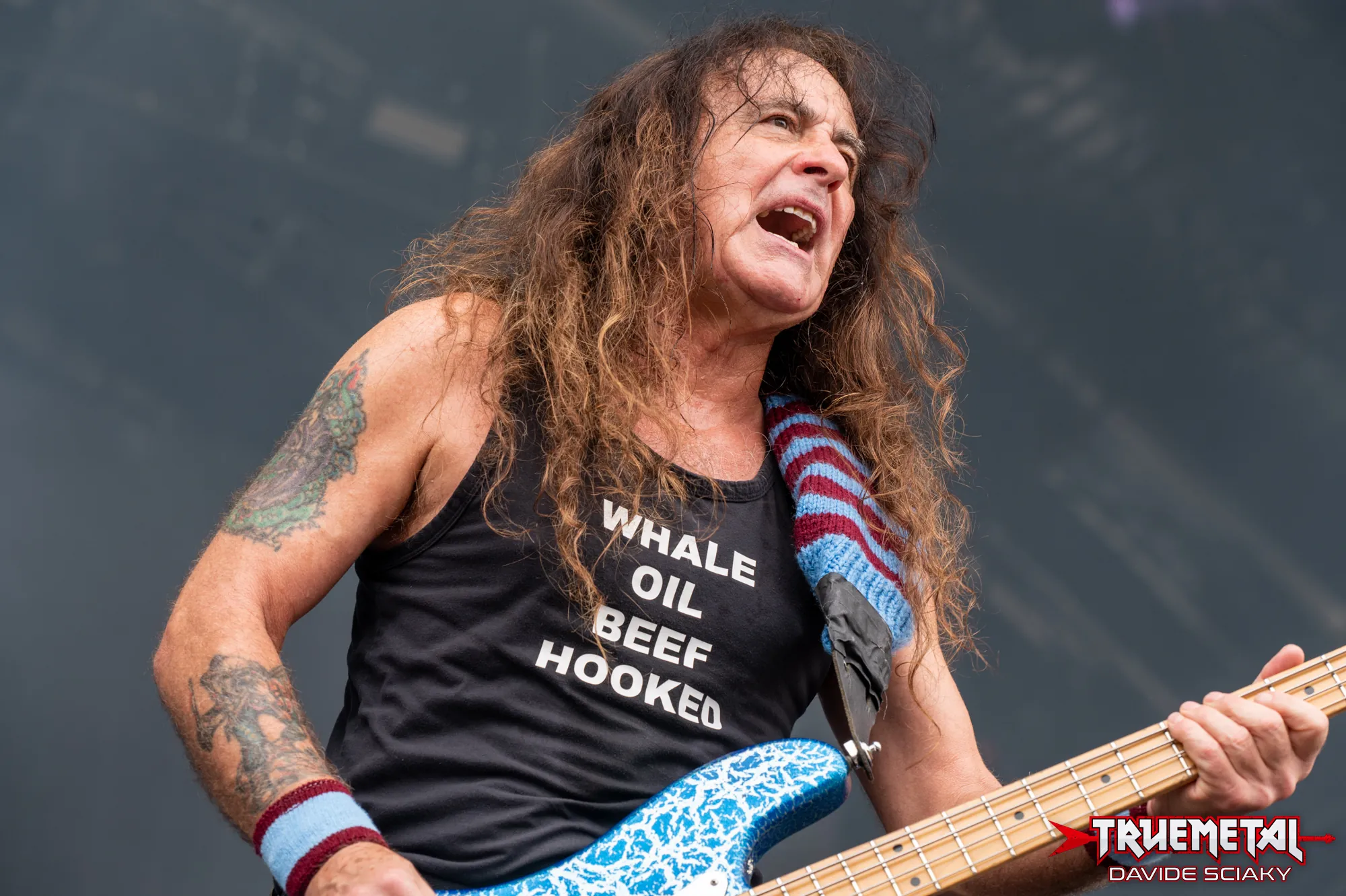 Iron Maiden: Steve Harris, "La gente pensa sia matto, ma adoro suonare dal vivo!"