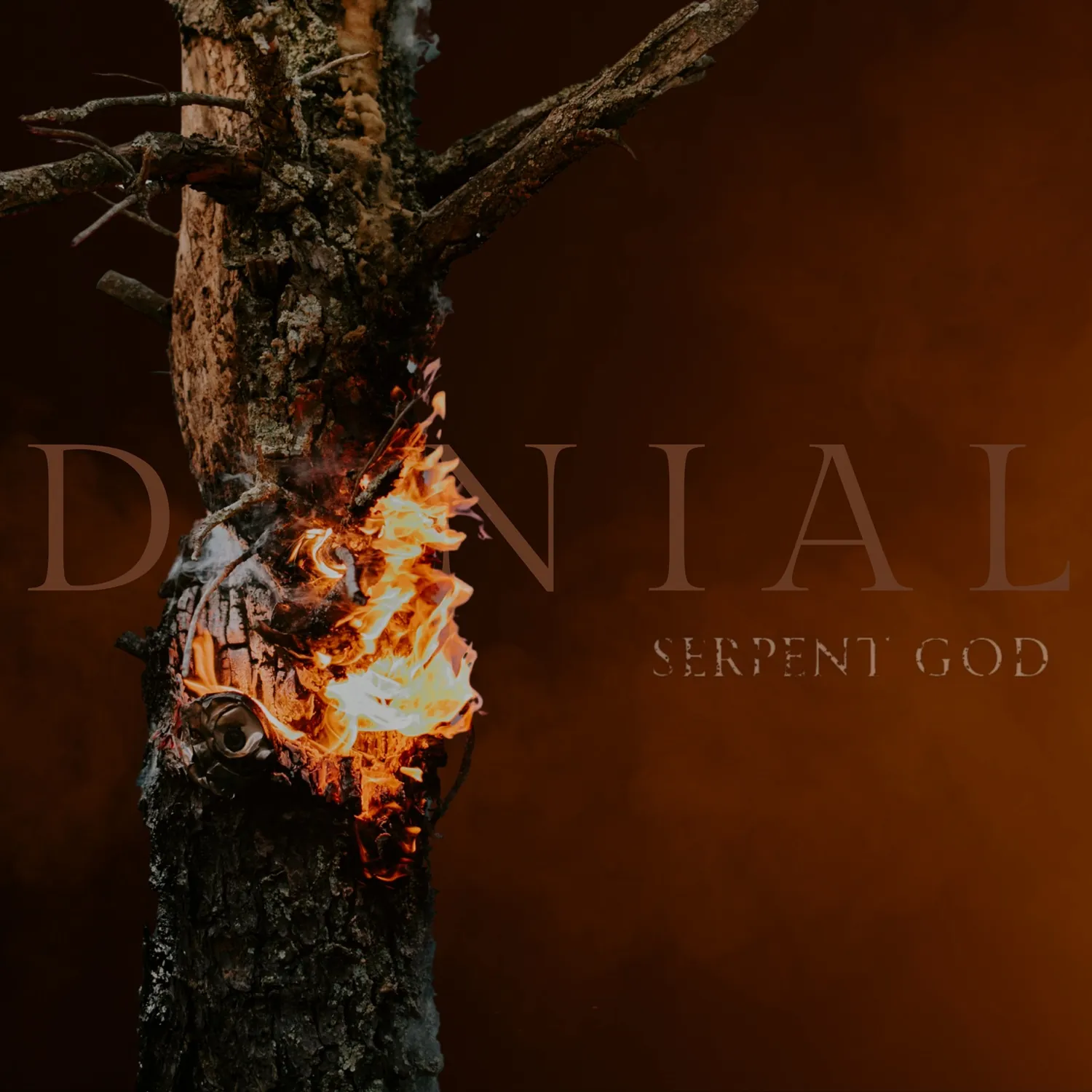 Denial