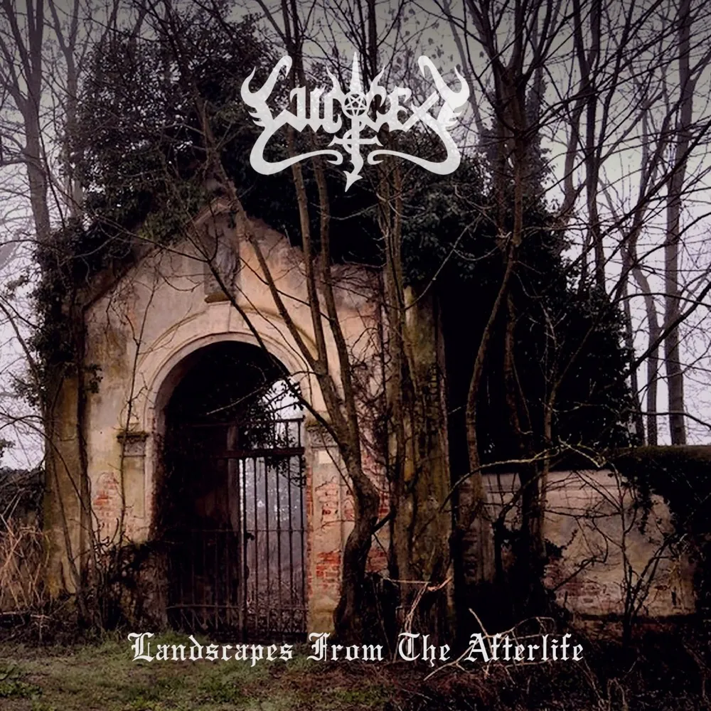Landscapes from the Afterlife