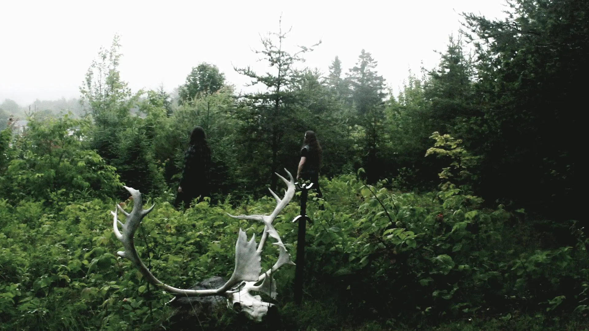 Cogadh: pubblicati il nuovo singolo e lyric video "The Misery Scryer"