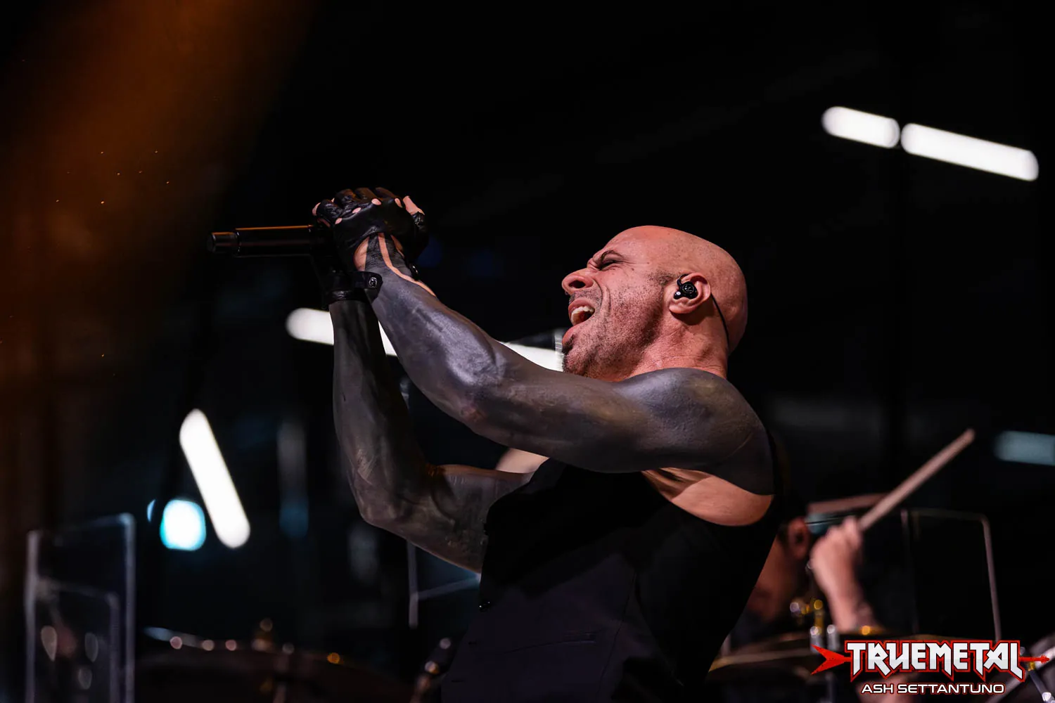 Daughtry (2)