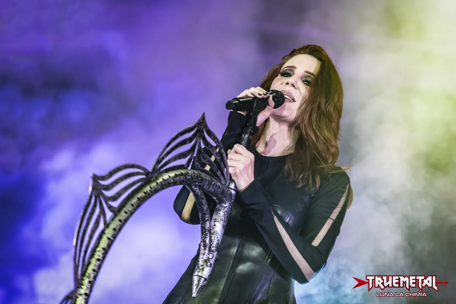Epica: annunciata una data a Milano per il The Symphonic Synergy Tour
