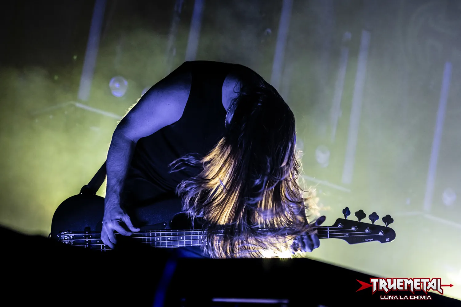 Shadow Of Intent-5
