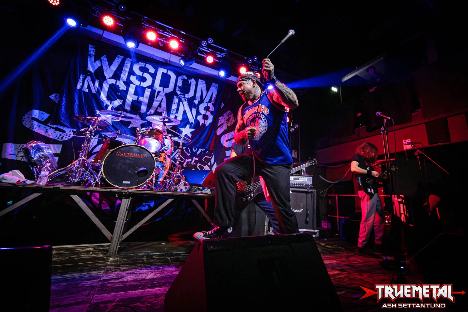 Wisdom In Chains (2)