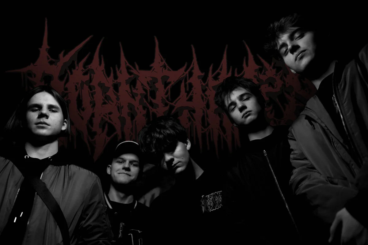 Boanthropy: online il videoclip di "Sanity Check"