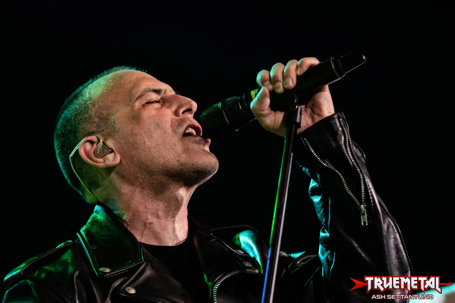 screeching weasel - live club 2026 (4)