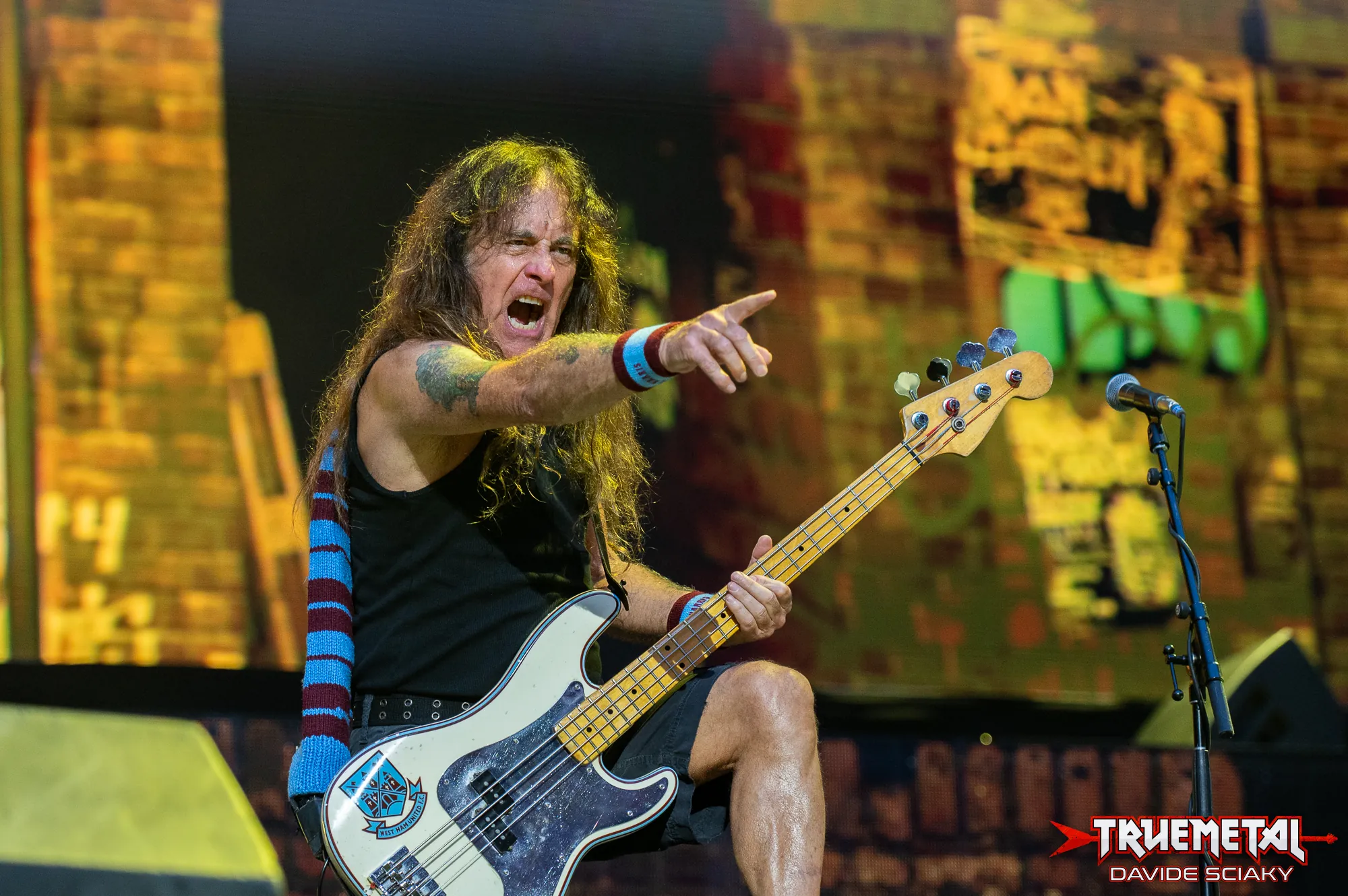 Iron Maiden: Steve Harris, "Il pubblico italiano è tra i migliori al mondo!"