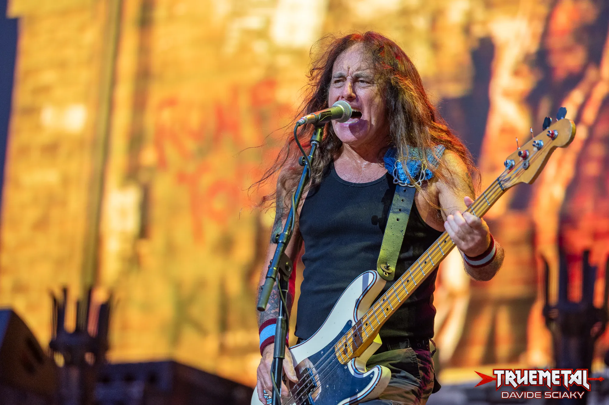 Iron Maiden: Steve Harris e Bruce Dickinson hanno commentato l'imminente ingresso nella Rock And Roll Hall Of Fame