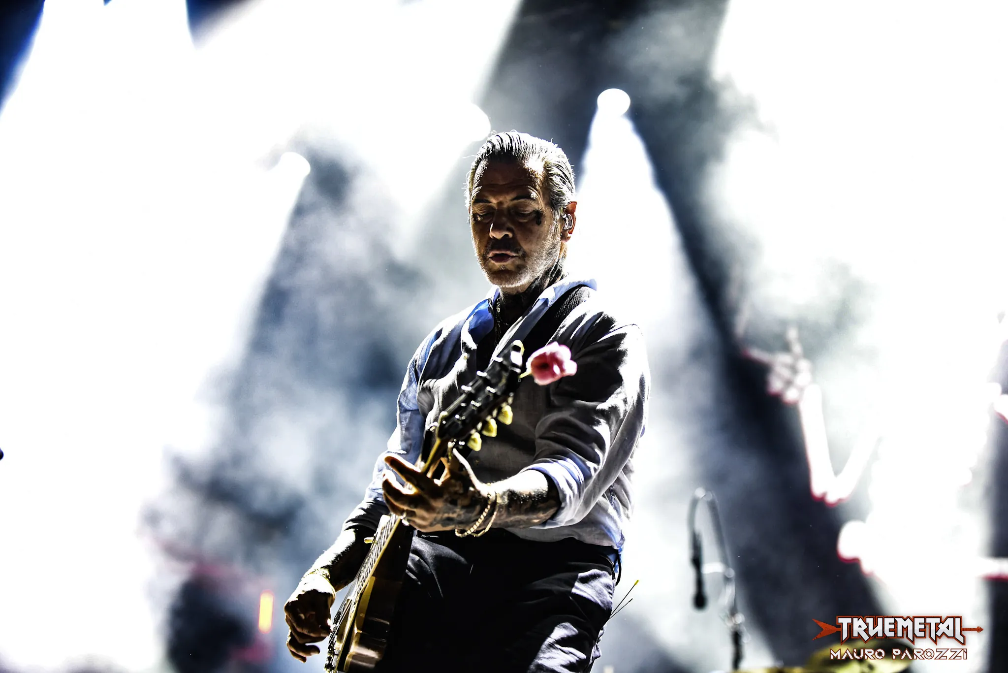 Social Distortion (5)