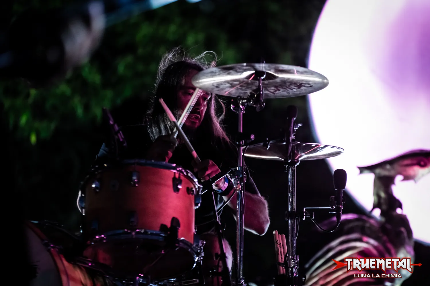 Alcest-3