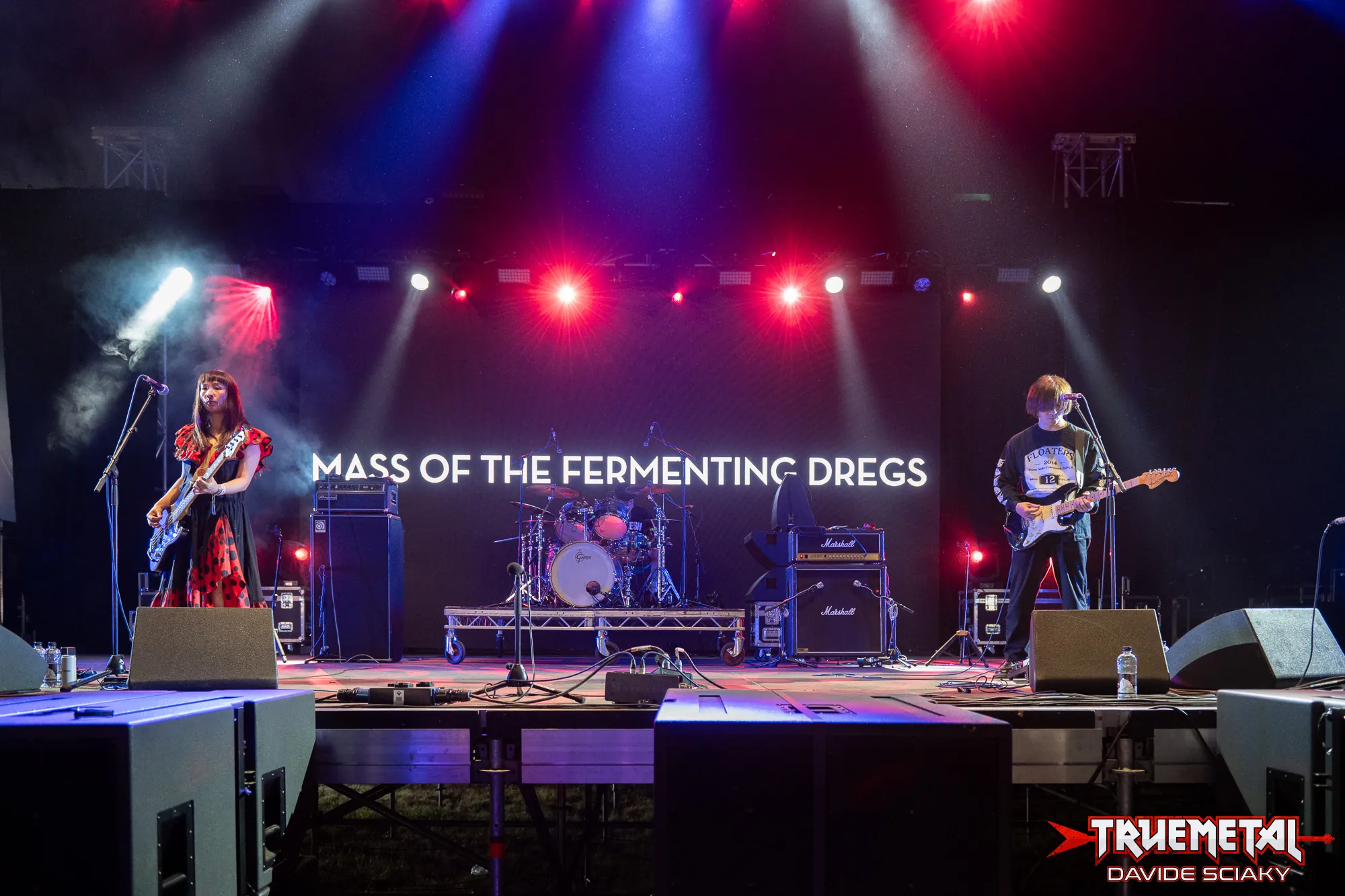 Mass of the Fermenting Dregs-2