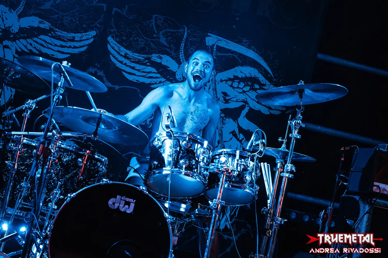 tm-20260803 - 04 - unearth - magnolia (3)